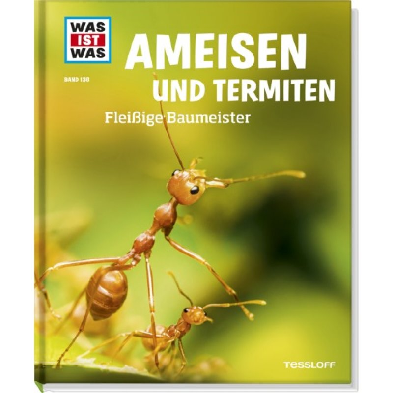 WIW 136 Ameisen und Termiten