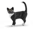 Katze, stehend