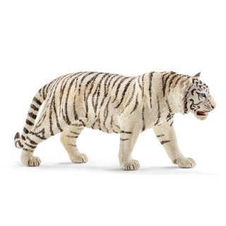 Tiger, weiß