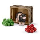 Mini-Schwein mit Äpfeln