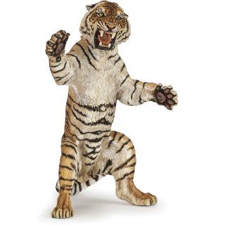 Stehender Tiger