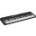 Keyboard Casio CT-S100C7 schwarz, 61 Leuchttasten
