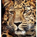 Diamond Painting Jaguar Kopf 40x30 cm