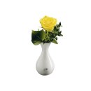 SANDRA RICH Vase Solo Flaschenform Porzellan 17cm...