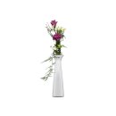 SANDRA RICH Vase Classy Solifleur Porzellan 24cm...