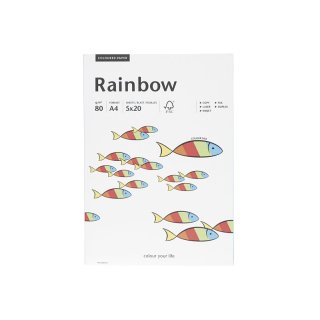PAPYRUS Kopierpapier Rainbow A4 80g/m² farbig 5x20 Blatt