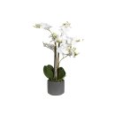 Orchidee Phalenopsis im Keramik-Topf 38cm weiß