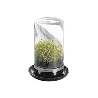 GEFU Sprossenglas Bivita 20cm