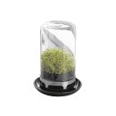 GEFU Sprossenglas Bivita 20cm