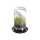 GEFU Sprossenglas Bivita 20cm