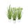 Gräser-Sortiment im weißen Topf 36cm grün