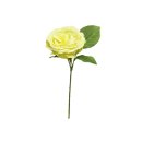 Englische Rose 28cm gelb