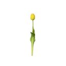 Tulpe 44cm gelb