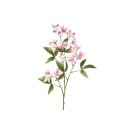 Ceratopetalum-Zweig 70cm rosa