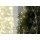 STAR TRADING Lichterkette Silberdraht 125LED 140cm