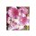 PAPER + DESIGN Lunch-Serviette 33x33cm Gerbera