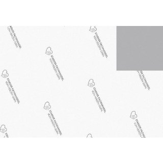 JUNG Rollenpapier Starker Fachhandel 50cmx200m grau/weiss
