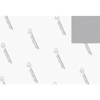 JUNG Rollenpapier Starker Fachhandel 75cmx200m grau/weiss