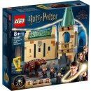 LEGO® Harry Potter? 76387 Hogwarts?: Begegnung mit...