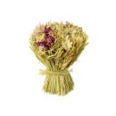 Trockenblumen-Gras-Arrangement 20cm rosa-creme