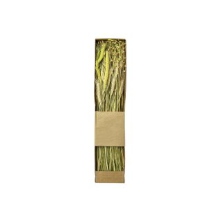 Trockenblumen-Floral-Mix im Naturkarton 60cm grün
