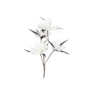 Magnolie mit vier Blüten Schaum 100cm creme