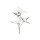 Magnolie mit vier Blüten Schaum 100cm creme