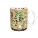 KÖNITZ Kaffeebecher Wissensbecher Kaffeewissen 490ml