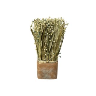 Trockenblumen Gras-Mix im Terracotta Topf 7x23cm lavendel