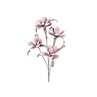 Magnolie mit vier Blüten Schaum 100cm rose