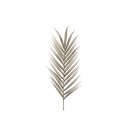Palmenblatt Schaumblume 100cm braun