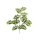 Blätterzweig Robina 70cm grün