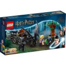 LEGO® Harry Potter 76400 Hogwarts™ Kutsche mit...