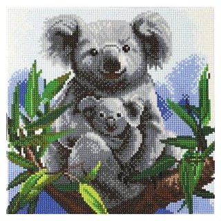 Crystal Art Leinwandbild Koalas 30x30 cm