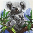 Crystal Art Leinwandbild Koalas 30x30 cm