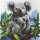 Crystal Art Leinwandbild Koalas 30x30 cm