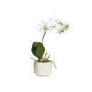 Orchidee im Keramiktopf real Touch 34cm creme