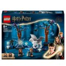LEGO® Harry Potter 76432 Der verbotene Wald: Magische...