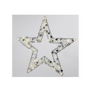 F-H-S Drahtstern 40LED ø28cm silber
