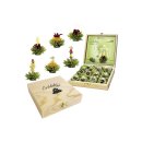 CREANO Holzbox Erblüh-Tee Grüner Tee 12er Pack