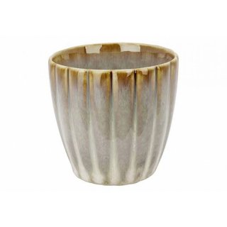 COSY&TRENDY Kaffeebecher Astera Pearl ohne Henkel 240ml 8,5x8cm