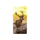 Banner Hirsch Sunrise Deer 90x180cm
