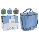 Kühltasche sortiert 18l
