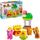 LEGO® DUPLO 10457 Disney Winnie Puuhs Geburtstagsparty