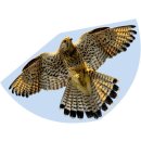 FALKE Kinderdrachen