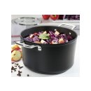 SPRING Bratentopf Glasdeckel Meridian Intense Pro 20cm