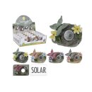 Solar Licht Schmetterling sortiert 11,5x5,5x10cm