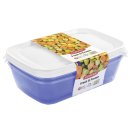 CURVER Tiefkühldose fresh&frozen 1,0l 3er Set