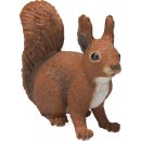 Eichhörnchen
