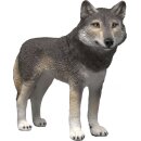 Amerikanischer Wolf